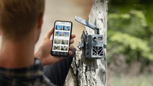 Piège photographique ZEISS Secacam 5 connecté