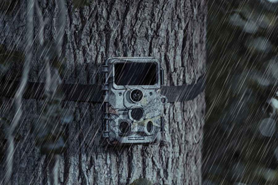 Camouflage wildcamera EZ60 Wi-Fi - Verzending naar smartphone 