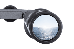 Steiner BluHorizons 10X42 verrekijker 