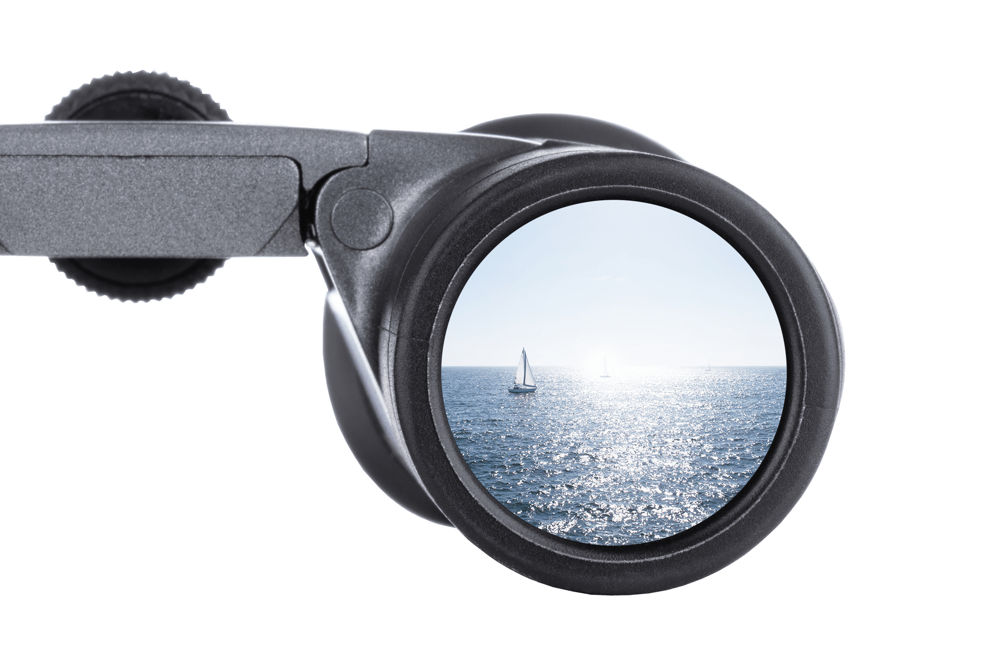 Jumelles Steiner BluHorizons 10X42