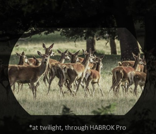 jumelles de vision thermique Hikmicro habrok HQ35LN 4k