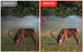 jumelles de vision thermique Hikmicro habrok HQ35LN 4k