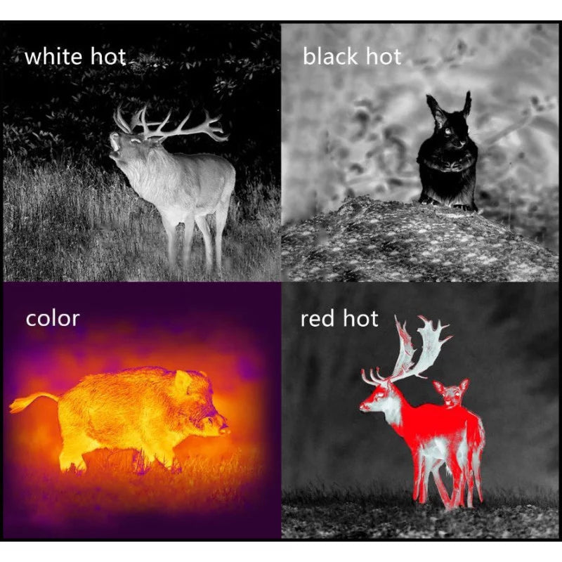 Monoculaire Pard vision thermique 25 mm - 12µm 384 x 288px Wifi