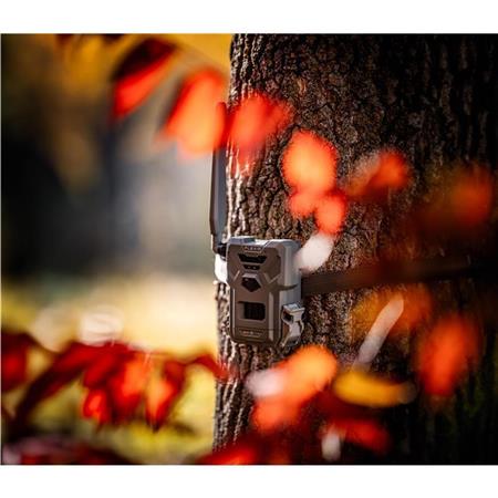 Caméra Spypoint Flex-M Twin Pack