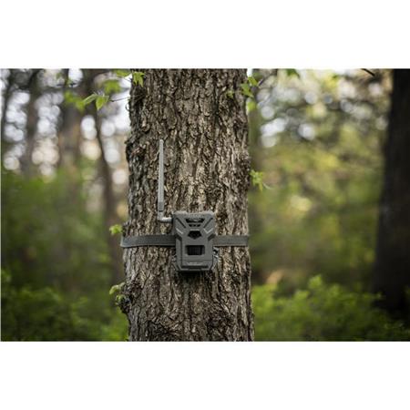 Caméra Spypoint Flex-M Twin Pack