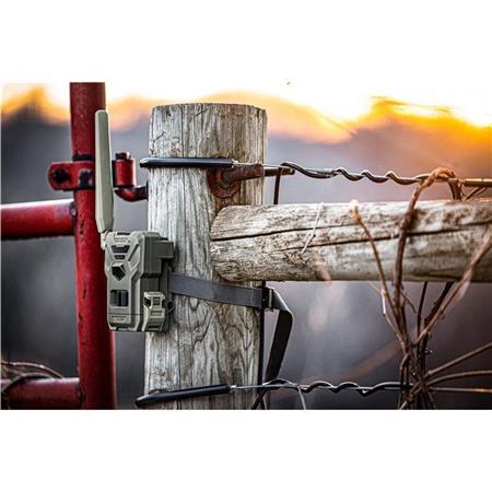 Caméra Spypoint Flex-M Twin Pack