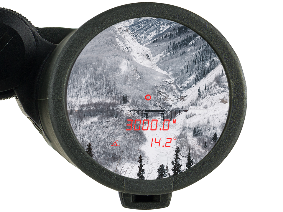 Jumelles Steiner eRanger LRF 10x42 télémètre intégré