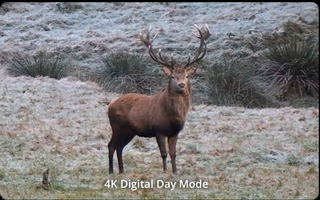 Thermische verrekijker Hikmicro HABROK 4K HE25L 2.0 