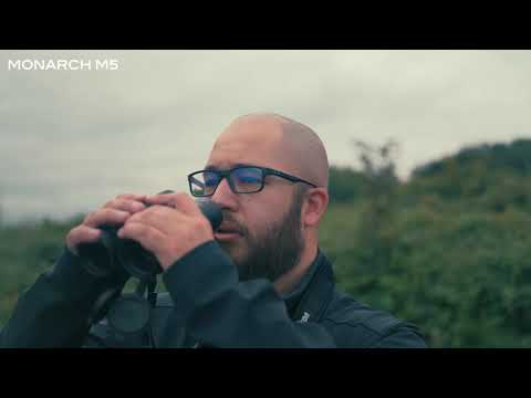 Nikon Monarch M5 8X42 verrekijker 