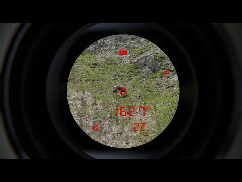 Jumelles Steiner eRanger LRF 10x42 télémètre intégré