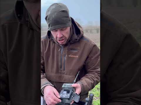 Piège photographique ZEISS Secacam 7 connecté