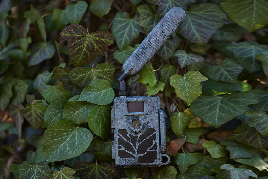 Piège photographique ZEISS Secacam 5 connecté