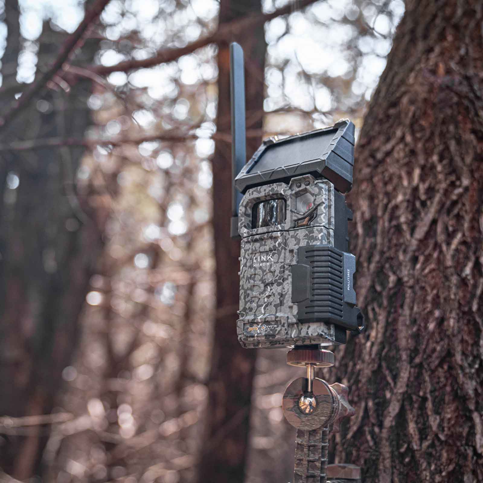 Piège photographique Spypoint FLEX Solaire communiquant photo/vidéo